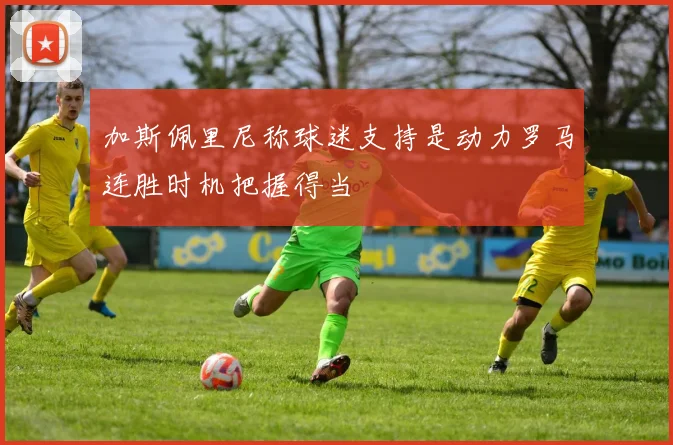 加斯佩里尼称球迷支持是动力罗马连胜时机把握得当