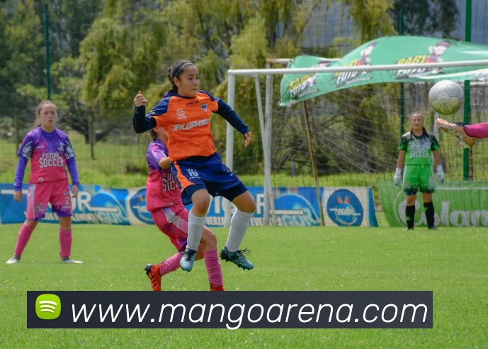 芒果体育发展历程